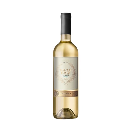 Vin Blanc Blanco de Blancos Tacama 13° 75cl